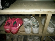 ҹ�λ�ʿС�����Ϣ�ң�Ʒ��������Ũ�����Ь