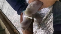 C234�ͷ�СŮ�ѣ��ѵ�Ь�ӣ���������������