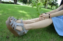 FC027�������������������ģ���������ò������������[223P]