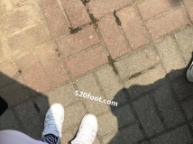 ¥��С�����촩����Ь���࣬���ϻ������ѵģ������Ⱥ���