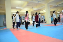 66��ѧ��У԰Ů��-����ϵ��ͼ����66����58P��